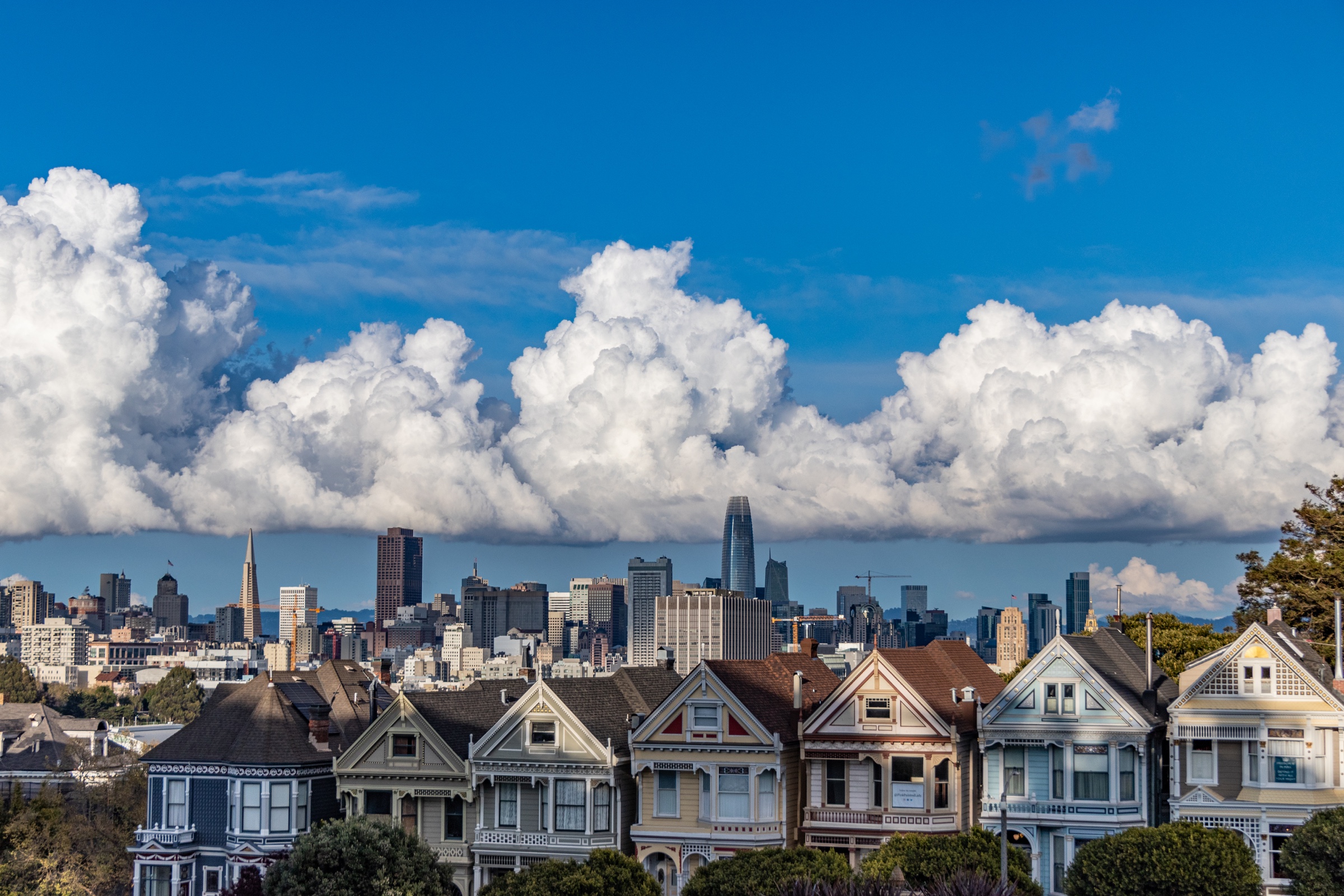 Victorian houses with the San Francisco skyline behind them