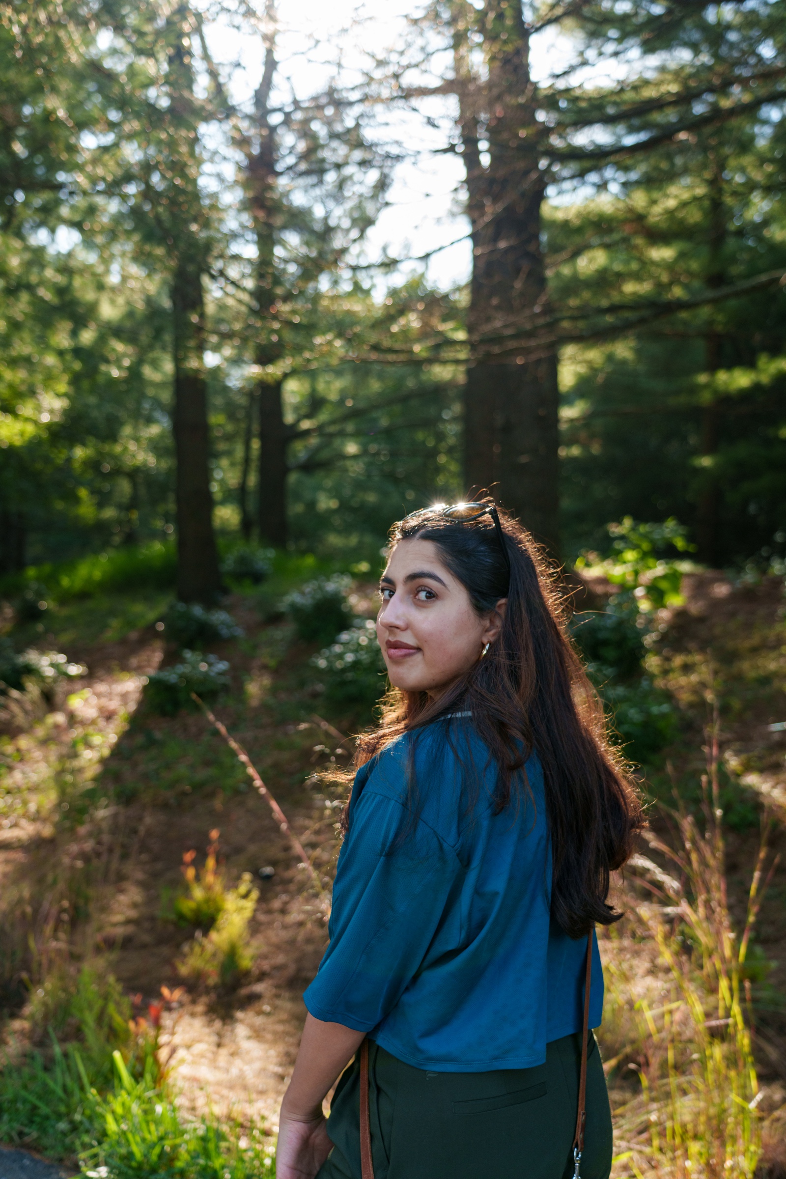 Portrait session in a pine forest at golden hour